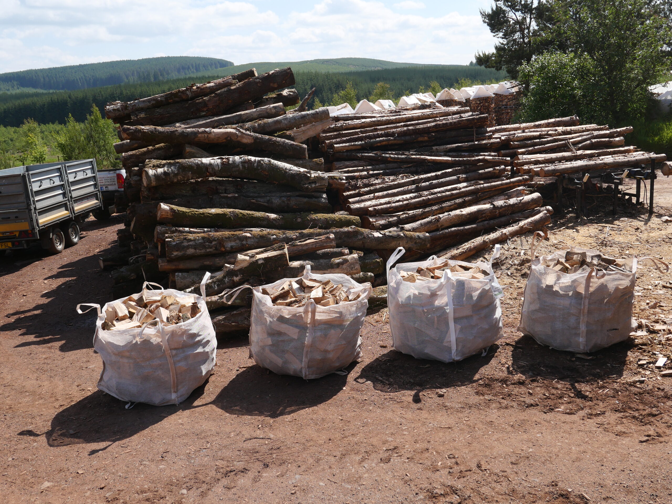 Blaze Firewood, Softwood and Hardwood Logs